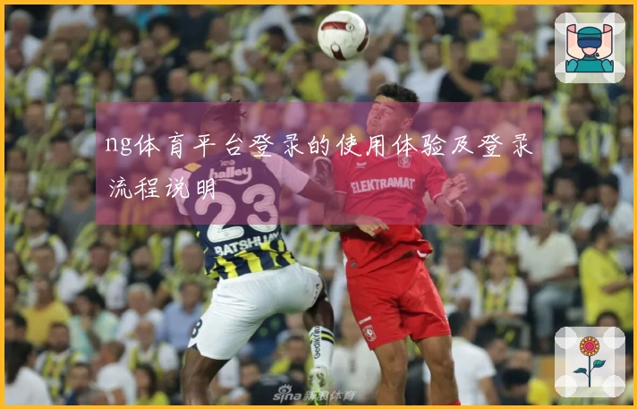 ng体育平台登录的使用体验及登录流程说明