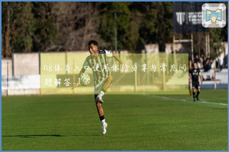 ng体育入口使用体验分享与常见问题解答_1