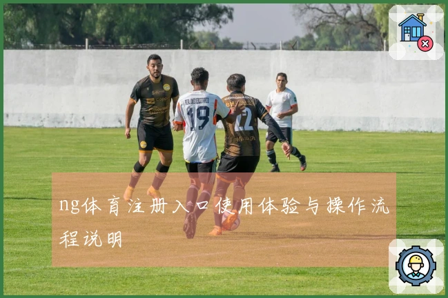 ng体育注册入口使用体验与操作流程说明