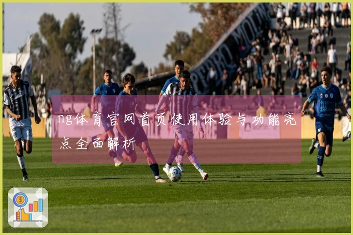 ng体育官网首页使用体验与功能亮点全面解析
