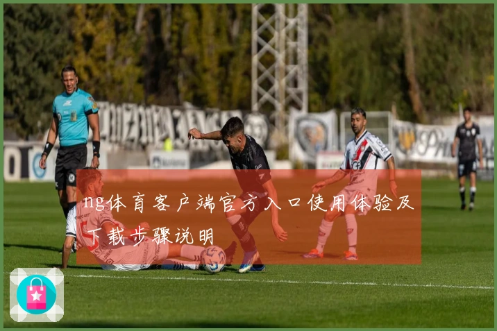 ng体育客户端官方入口使用体验及下载步骤说明