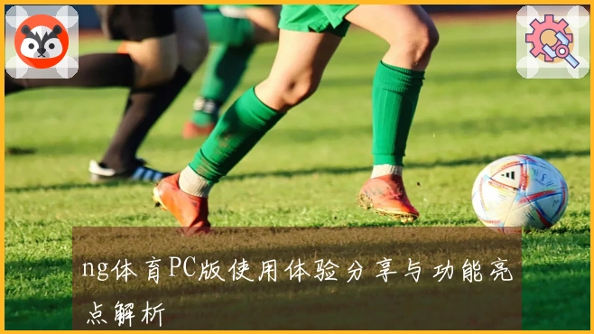 ng体育PC版使用体验分享与功能亮点解析