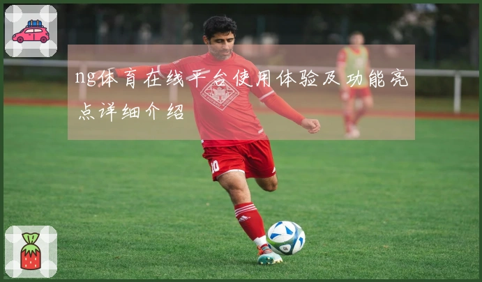 ng体育在线平台使用体验及功能亮点详细介绍