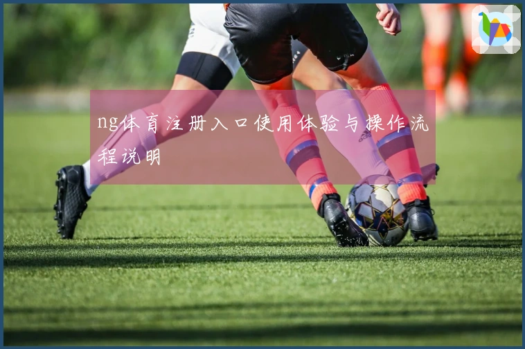 ng体育注册入口使用体验与操作流程说明